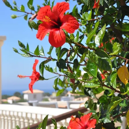 Ξενοδοχείο Ponta Grande 3*